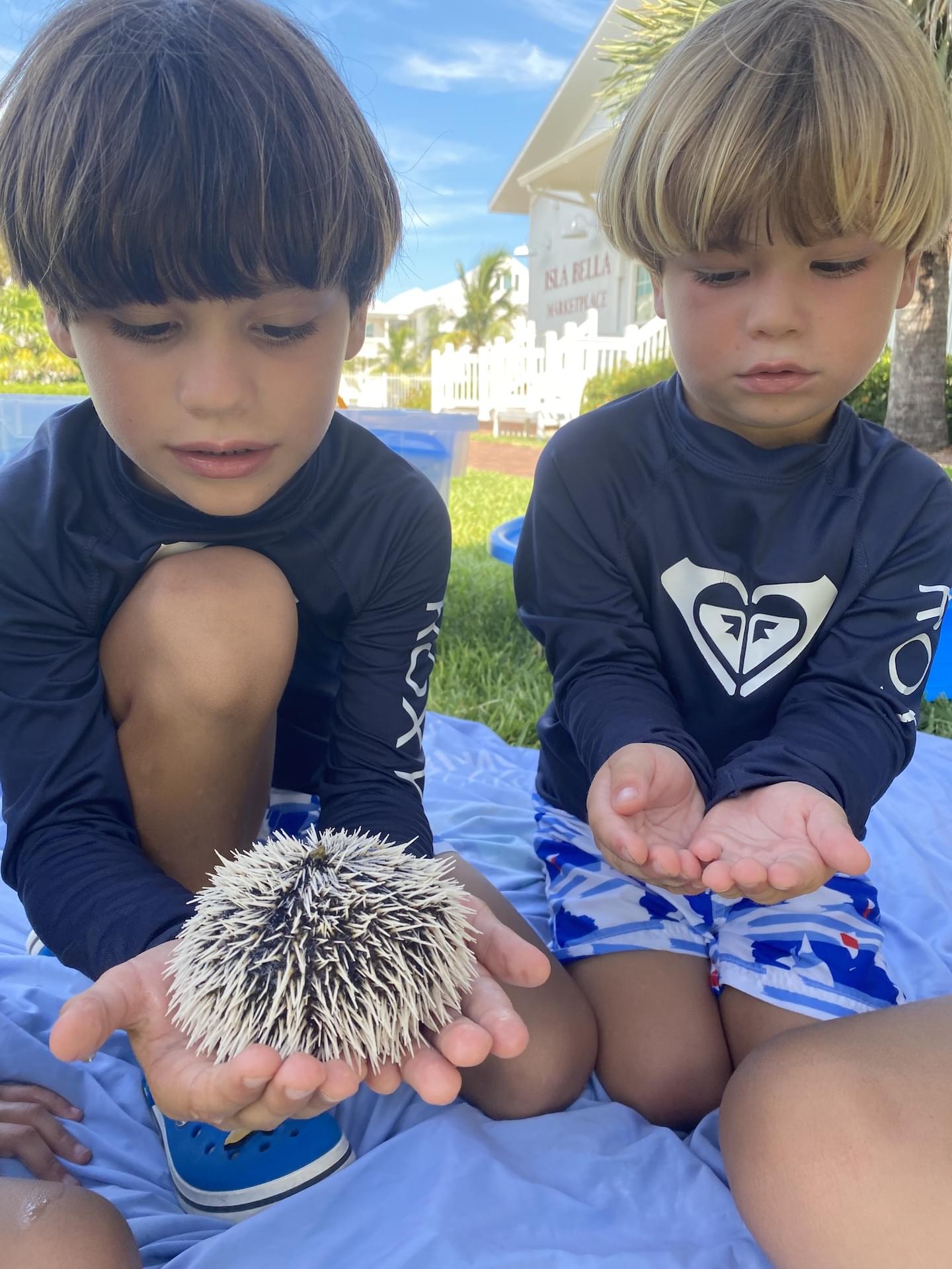Young guests observing a sea urchin during a hands-on activity