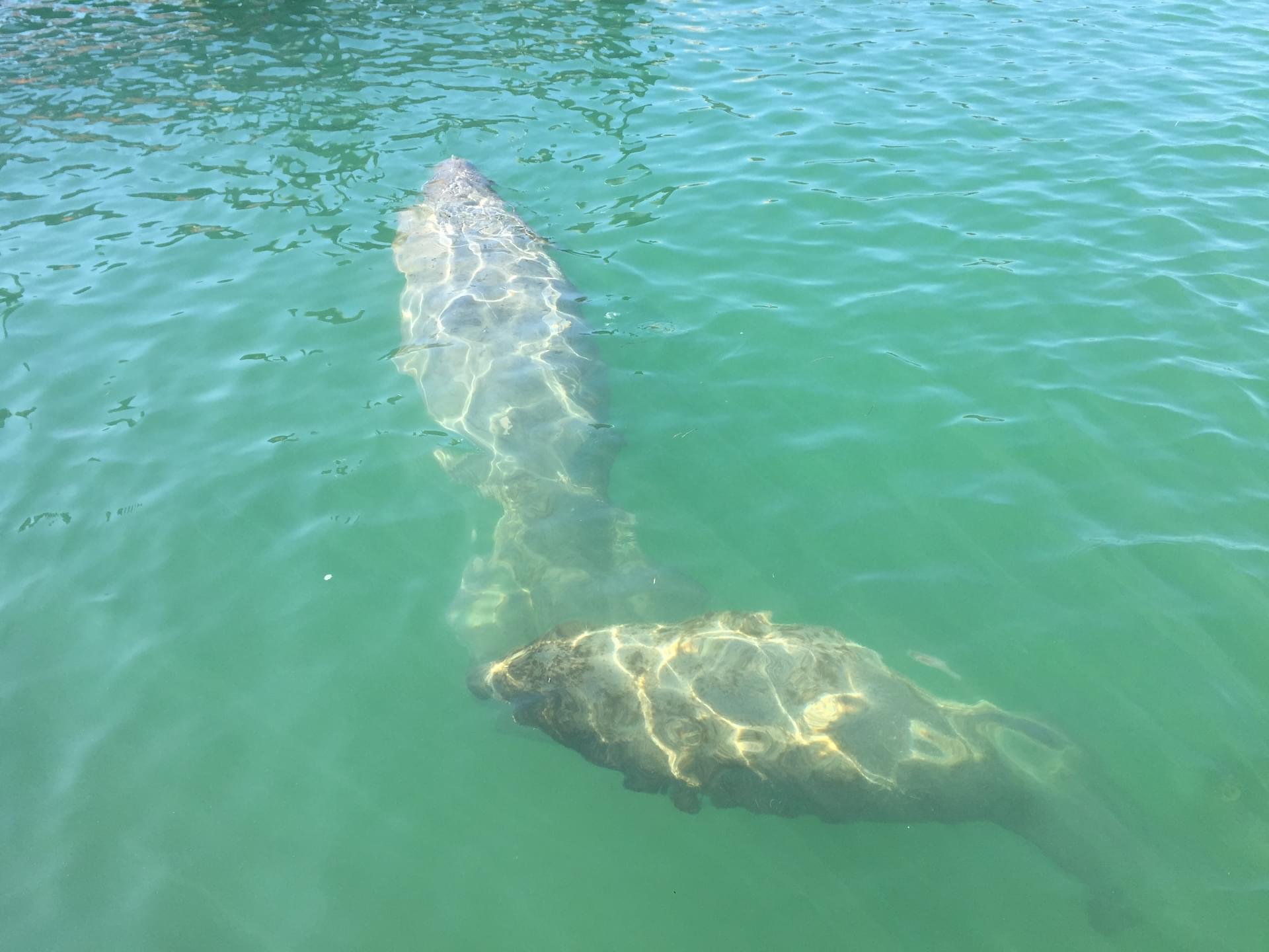 Beach-side marine biology program