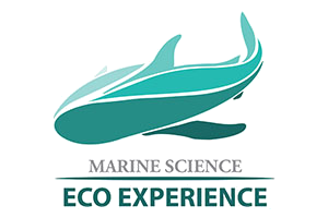 Marine Science Eco Experience