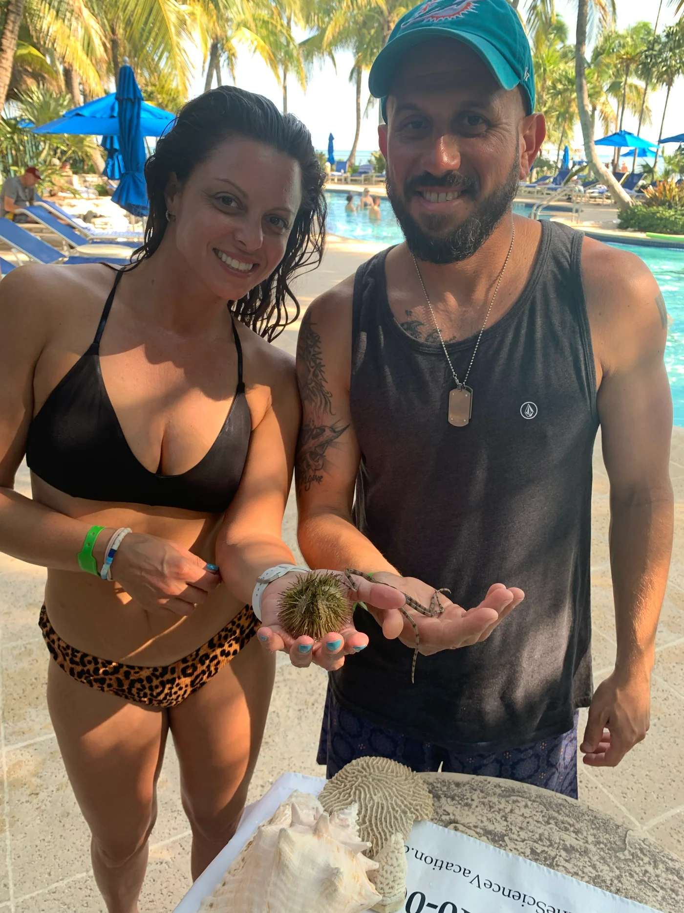 Two adult guests holding a sea urchin and a brittle star during a poolside marine encounter