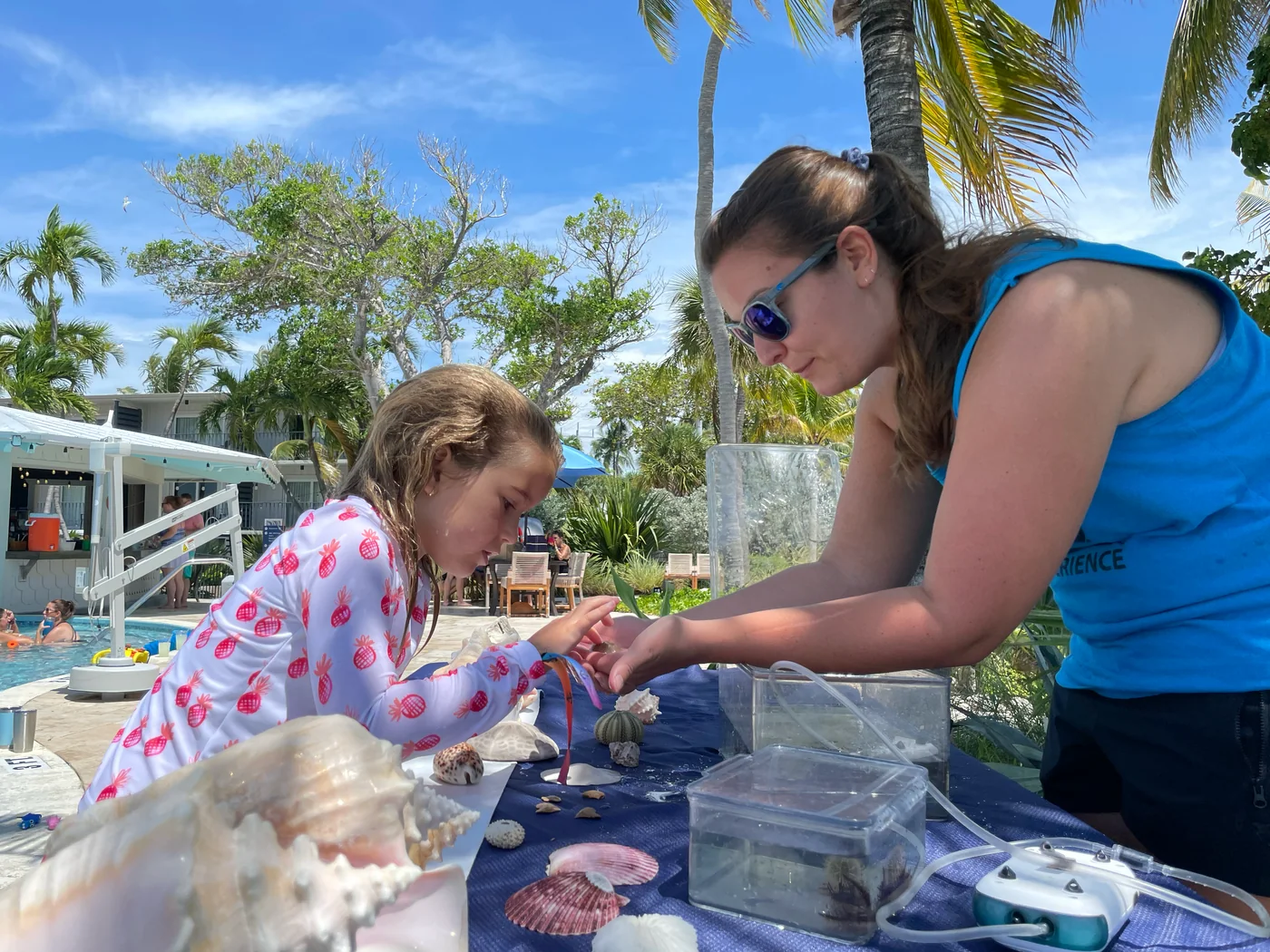 A marine educator guiding a young guest through a close-up animal encounter beside the pool