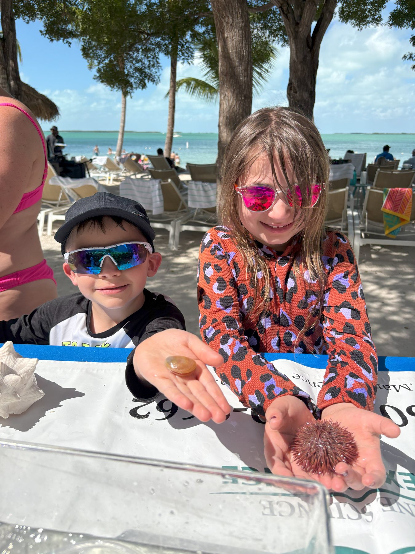 Guests enjoying a hands-on marine science activity